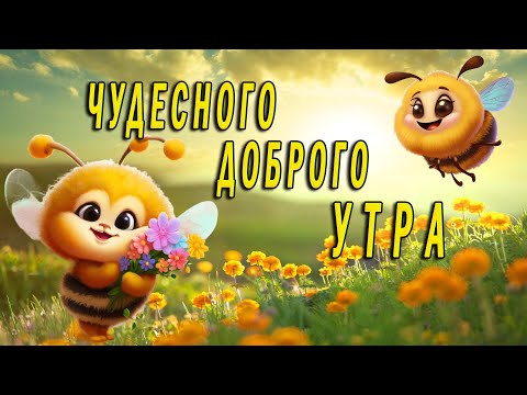 С Добрым утром и Хорошим Днем! Позитивная песня! Наполни свой день позитивом и радостью!