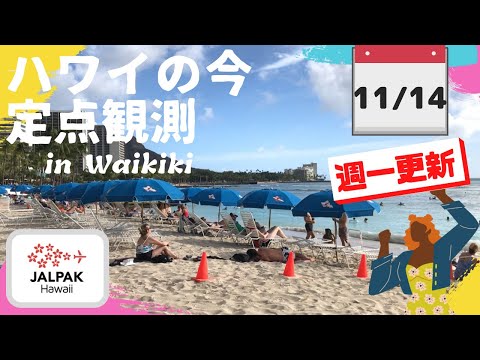 【ハワイの今】ワイキキ定点観測  2023年11月14日