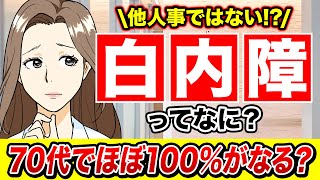 【白内障】完全解説！誰もが必ず発症する？白内障の症状・原因・治療法【眼科医解説】