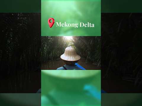 Mekong Delta Magic: Exploring Vietnam's River Life। vietnam travel guide #travel #shorts