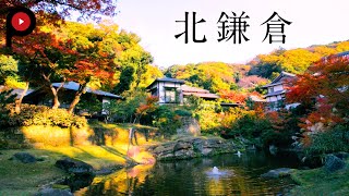 【 北鎌倉散策 】 Kitakamakura Trip - Following in the footsteps of Yasujiro Ozu