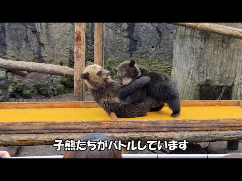 ブス3人と行く北海道　プリケツ感謝祭編