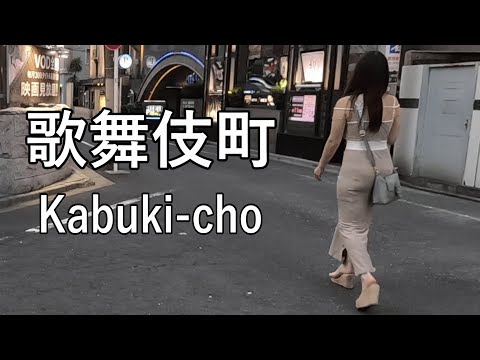 【Evening walking】日本一の繁華街、歌舞伎町を散歩 Walking in KABUKI-CHO of Tokyo, busiest shopping district