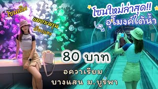 โซนใหม่! อควาเรียมบางแสน 80บาท​ พิพิธภัณฑ์​สัตว์​บางแสน​ ม.​บูรพา​ สถาบันวิทยาศาสตร์​ทางทะเล