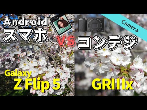 【比較】GRⅢxとGalaxy Z Flip5のカメラ性能を検証してみた | ミドルスマホ vs 高級コンデジ