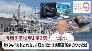 「沸騰する地球」第2夜 サバもイカもとれない！ 日本ばかり漁獲高減少のワケとは【日経プラス９】（2023年8月18日）