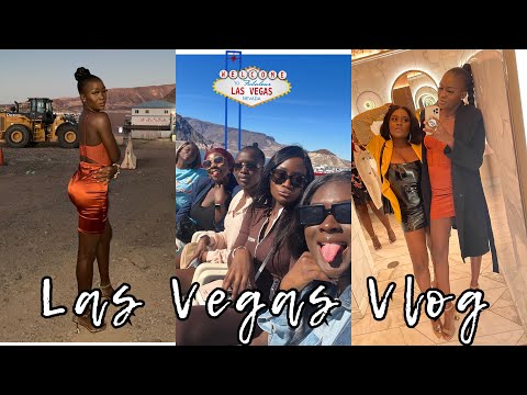 Big Purrs Take on Las Vegas || Travel Vlog