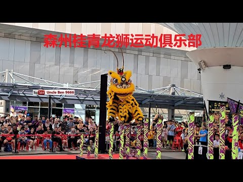 2024 National Acrobatic Lion Dance Championship #第四届全国狮王高桩争霸赛 #联胜杯 #森州桂青龙狮运动俱乐部