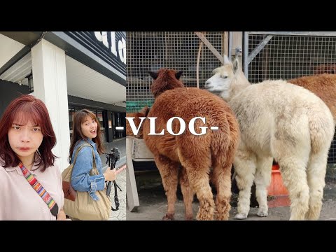 假期小旅行Vlog，當個快樂的孩子｜草泥馬、北埔老街、美式餐廳🍟