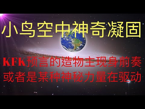 多地出现小鸟凝固在空中的神秘现象，难道我们的世界真的是一种神秘力量所控制？ 或者是未来人KFK预言的造物主现身的前奏？！ #KFK研究院