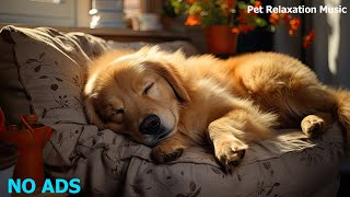 🐶Relaxing Music To Calm Pets 💛 Relaxing Music For Your Best Friend, MUSIC for dogs