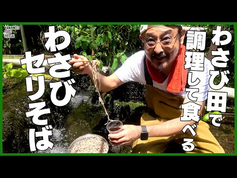 わさび田で調理して食べる！わさびセリそば【わさびチャンネル322】