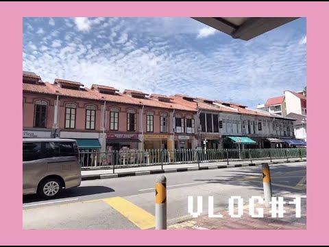 🇸🇬新加坡日常VLOG|强推新加坡睫毛店|理发店染发|Mookata泰国火锅🇹🇭