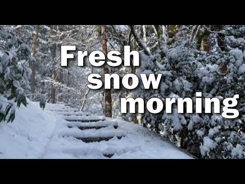 Hidden Japan   47     新雪の呉羽山八幡社　 Fresh snow morning