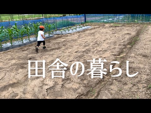 父の畑に行った日/田舎の日常/OL/vlog