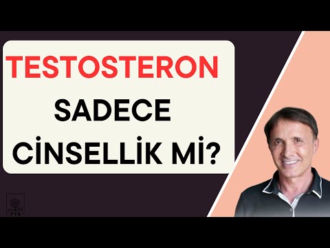 Testosteron Sadece Cinsellik Konusu Değil!