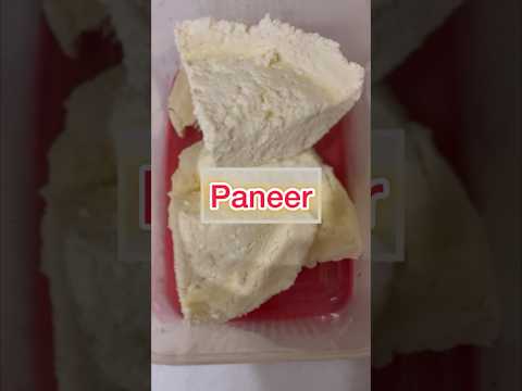 How to make paneer at home | பனீர் | पनीर | #homemade #panner #cottagecheeserecipe #viralvideo