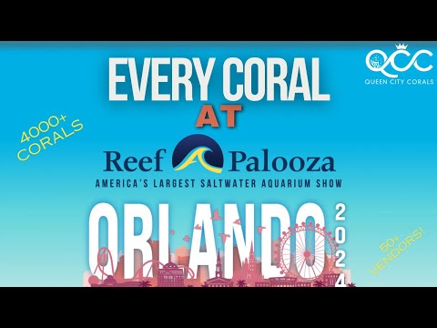 Every Coral At Reef-A-Palooza Orlando 2024 (Part 1)