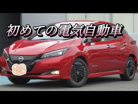 電気自動車買うならどれを買う？