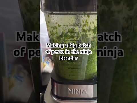 Making a big batch of pesto in the ninja blender