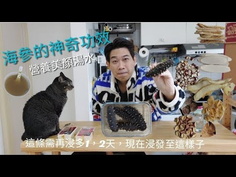 海參的神奇功效  製作營養美顏湯水  點解好過其他補品？ 5類人不合食