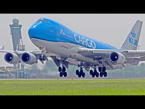 FULL KLM Fleet 2024, All Types & subsidiaries, Transavia, KLM Cargo, Martinair & KLM Cityhopper