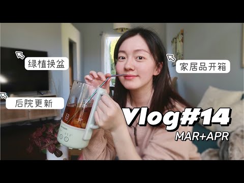 VLOG#14 | 后院打造shade garden | 绿植换盆 | 厨房小家电开箱测评+抽奖 | 北鼎toaster | Topcashback