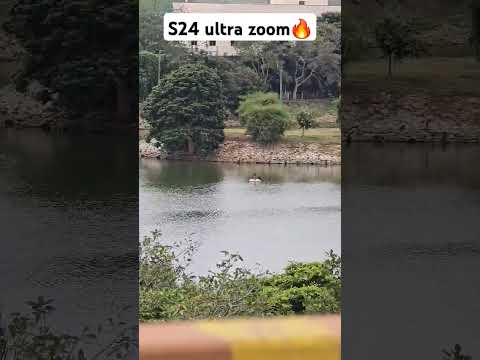 S24 ultra zoom camera test #s24ultra