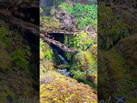 Beautiful Waterfall #nature #naturelovers #scotland #travel #travelvlog #edinburgh #trending #trend