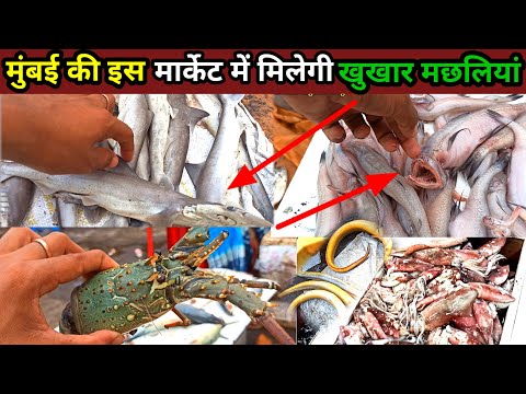 🐟 समुद्र से निकलने वाले खुखार डरावना मछलियां🐟 ।।मुंबई  मछ्ली मार्केट ।। Mumbai fish market 🐟।।