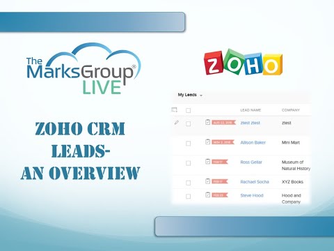 Zoho CRM Leads: An Overview