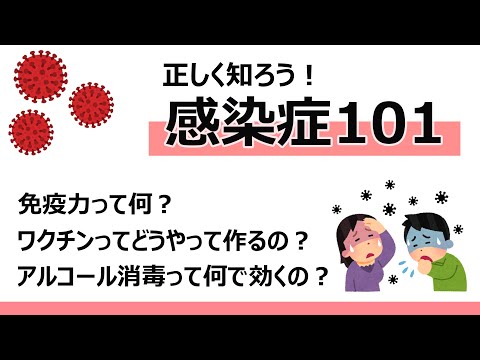 感染症について正しく知ろう！UCLAの分子薬理学生が答える感染症101【コロナウイルスについて】