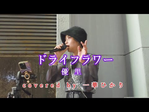 ドライフラワー / 優里  covered by 《一華ひかり》※概要欄にツアー情報あり