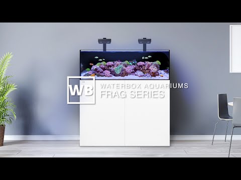 Waterbox Aquariums FRAG Overview