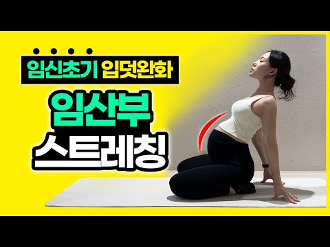 임신초기 앉아서하는 가벼운 임산부 스트레칭 (초간단 10분)