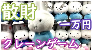 悲報！クレーンゲームで散財してきた！一万円あってもすぐになくなる！子供たちのために頑張るパパ！果たして子供たちの喜ぶ顔を見ることができるのか？ミッフィーちゃんやすみっコぐらし、鬼滅の刃の確率機に勝つ！