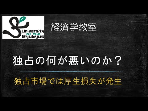 独占市場(No 43) 独占市場においては厚生損失が生じることを証明