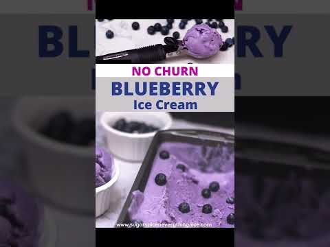 Blueberry Ice Cream (Homemade)