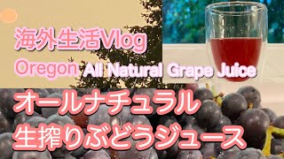 【海外Vlog】オレゴン オールナチュラル生搾りぶどうジュース Life in Clackamas county Oregon, How to make all natural grape juice