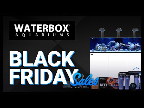 Black Friday sales are here! Join us as we answer all your Black Friday questions.