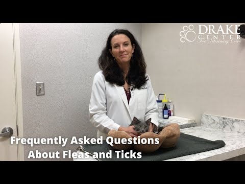 Frequently Asked Questions About Fleas and Ticks