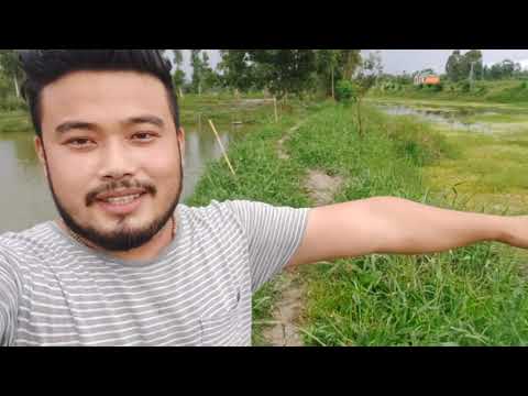 #vlog 4 : Unexpected vlog after a long time