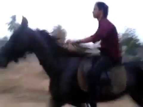 Yasaswi kondepudi horse riding 8 years back💫