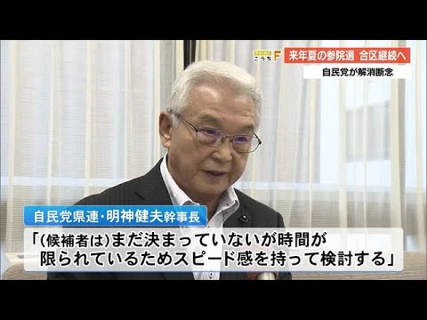 自民党が解消断念　来年夏の参議院議員選挙《合区継続へ》【高知】 (24/12/13 18:43)