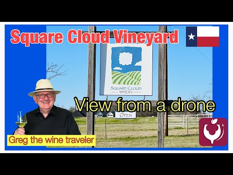 Square Cloud Winery; Vineyards from a drone