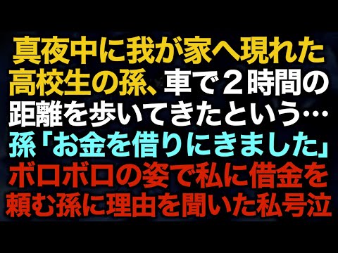 【スカッとする話】真夜中に我が家へ現れた高校生の孫、車で２時間の距離を歩いてきたという…孫「お金を借りにきました」ボロボロの姿で私に借金を頼む孫に理由を聞いた私号泣【修羅場】