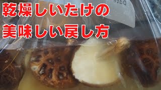 乾燥しいたけの美味しい戻し方【ポイントは2つ】