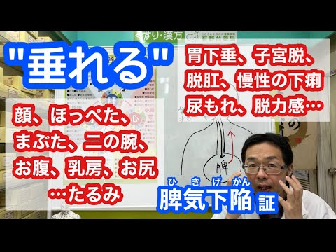 『垂れる』症状を改善するには？【脾気下陥】【中気下陥】