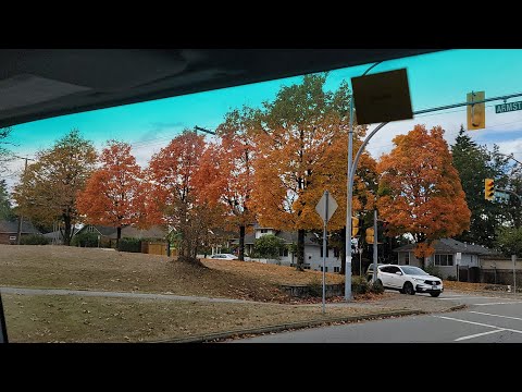 BEAUTIFUL FALL COLORS IN BRITISH COLOMBIA