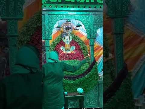 बाबा श्याम के भव्य दर्शन और आरती__🌼🌸🌹,#trending #bhaktistatus #youtube channel #shortvideo 2022